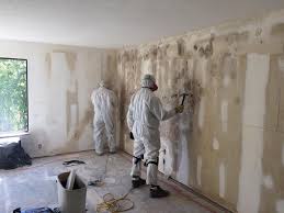 Why You Should Choose Our Mold Remediation Services in Eagle Pass, TX